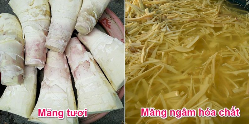 Công thức làm gỏi măng tươi gà xé tuyệt phẩm ai cũng khen